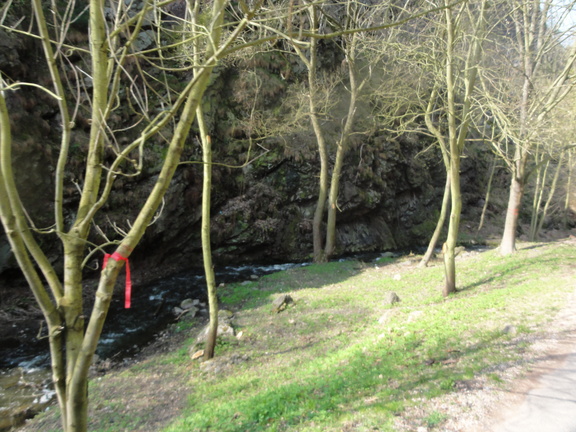 DSC02069